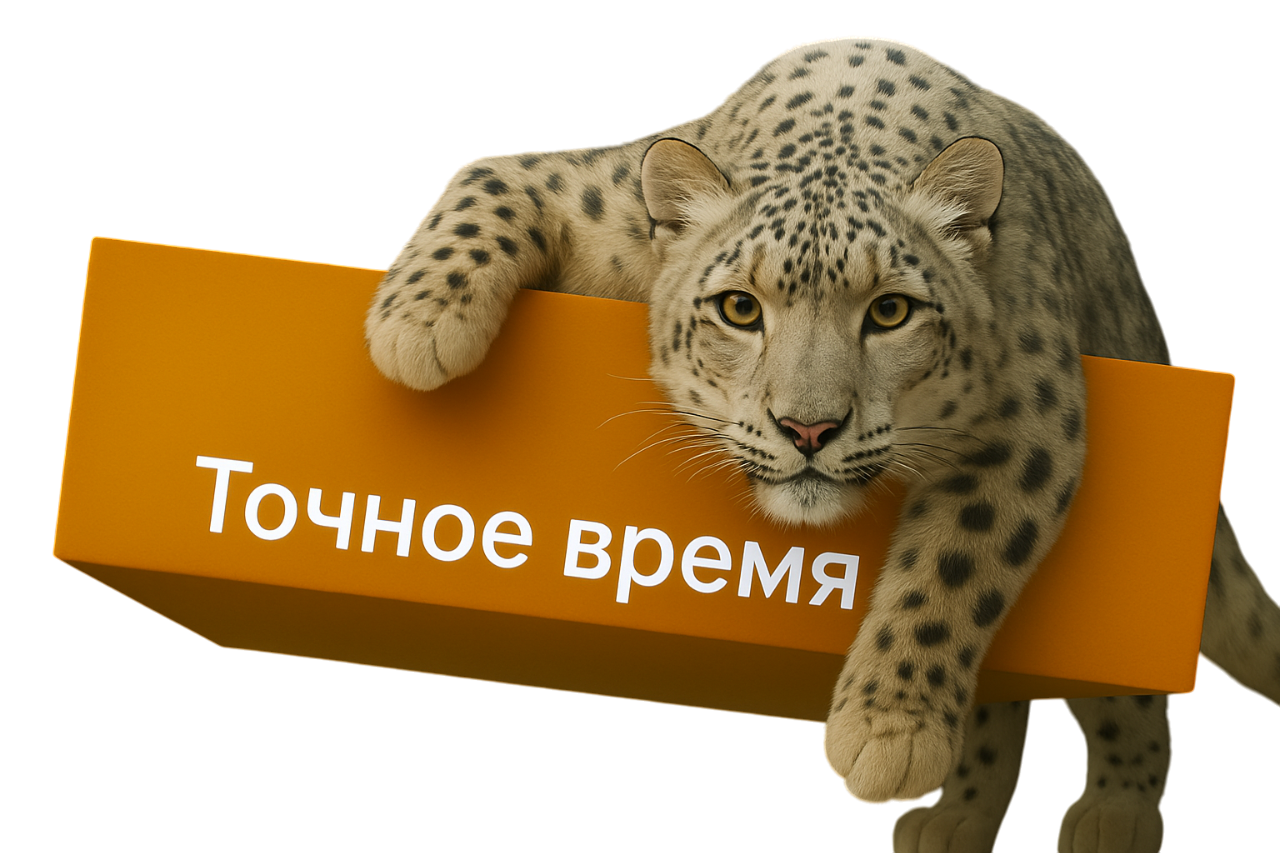 Логотип точного времени